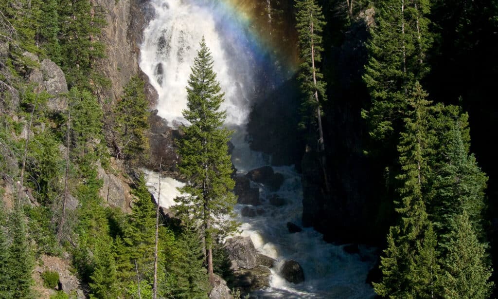 Fish Creek cade Colorado