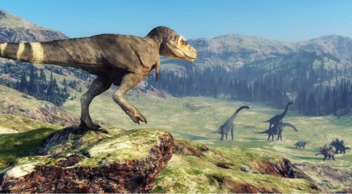 T-Rex vs Ankylosaurus: quali sono le differenze?
