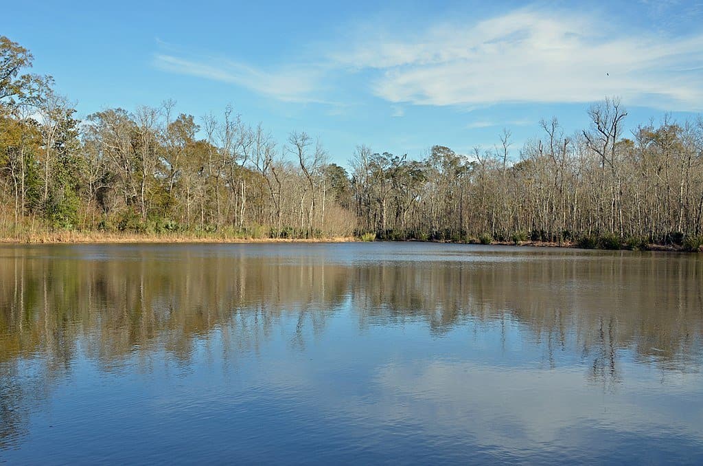 Palmetto Island State Park Louisiana