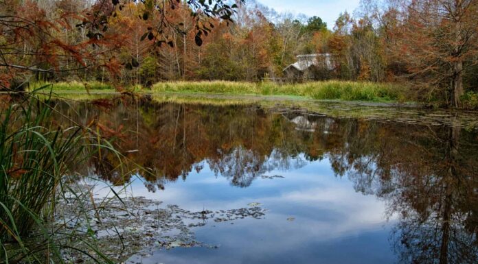 Cane River Creole National Historical Park