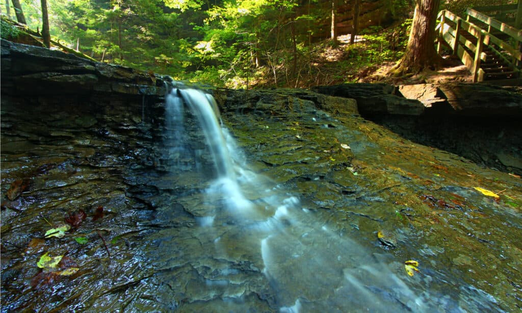 Cascata d'argento cade