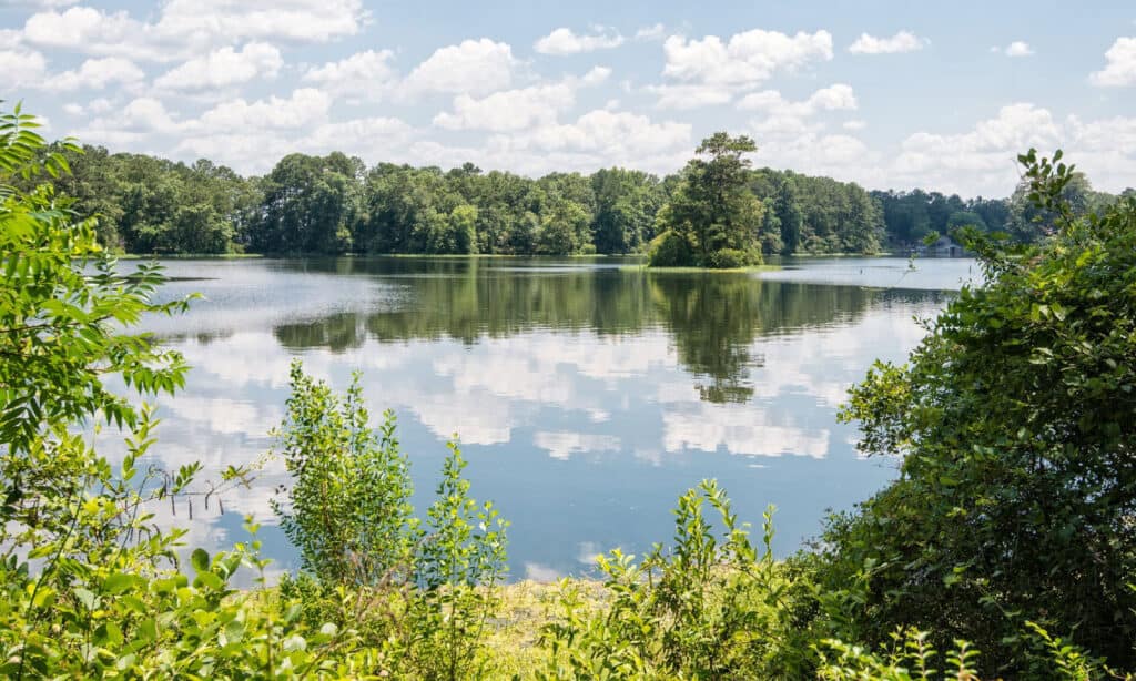 Lay lago in Alabama