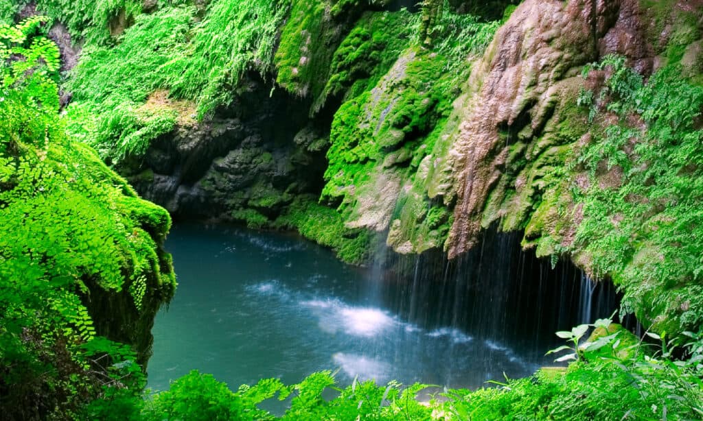 Westcave Preserve cade Texas