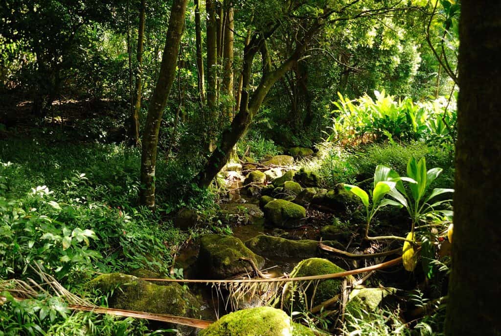 Sentiero per le cascate di Aihualama