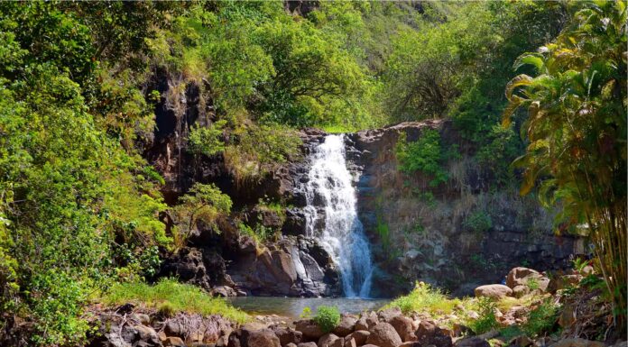 Maunawili Falls