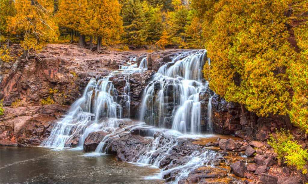 Cascate di uva spina