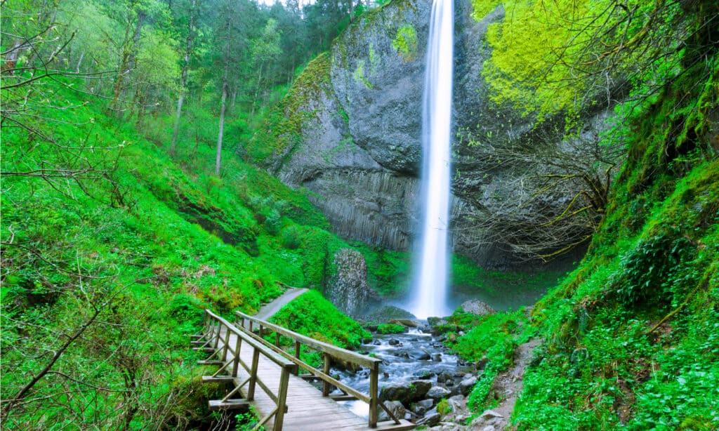 Cascate di Latourell