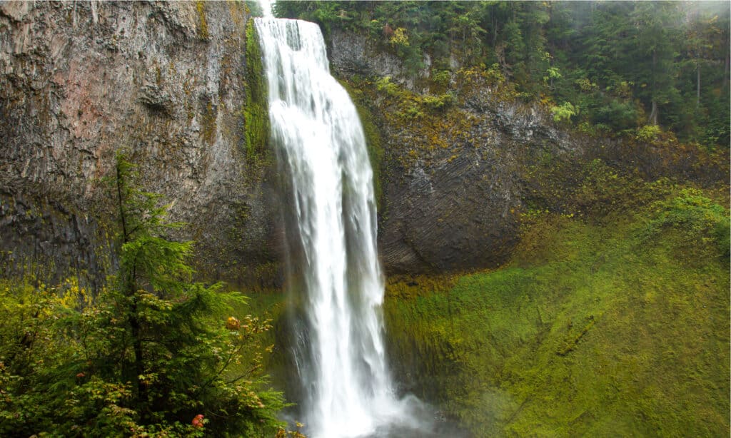 Cascate di Salt Creek