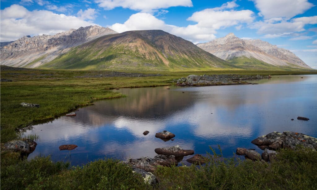 Parco Nazionale e Riserva delle Porte dell'Artico