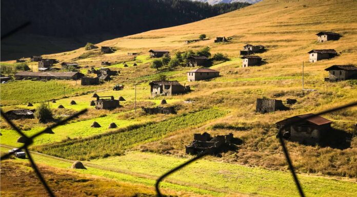 Tbilisi National Park