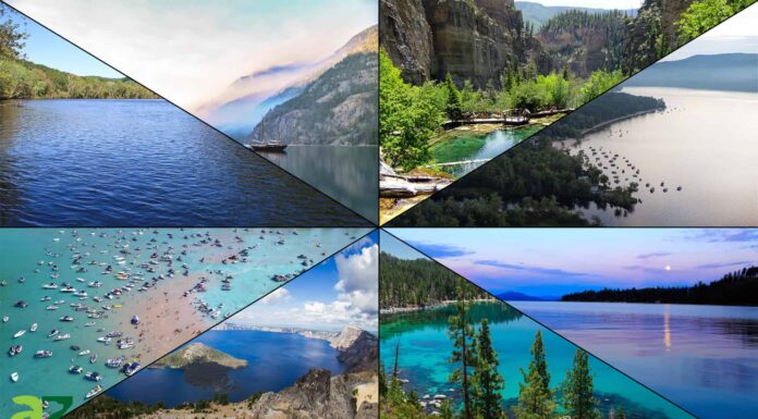 Inland Wonders: 14 dei laghi più limpidi negli Stati Uniti
