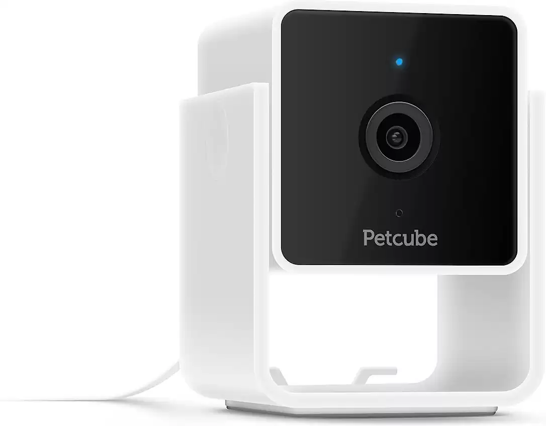 Petcube Cam HD Videocamera per animali domestici