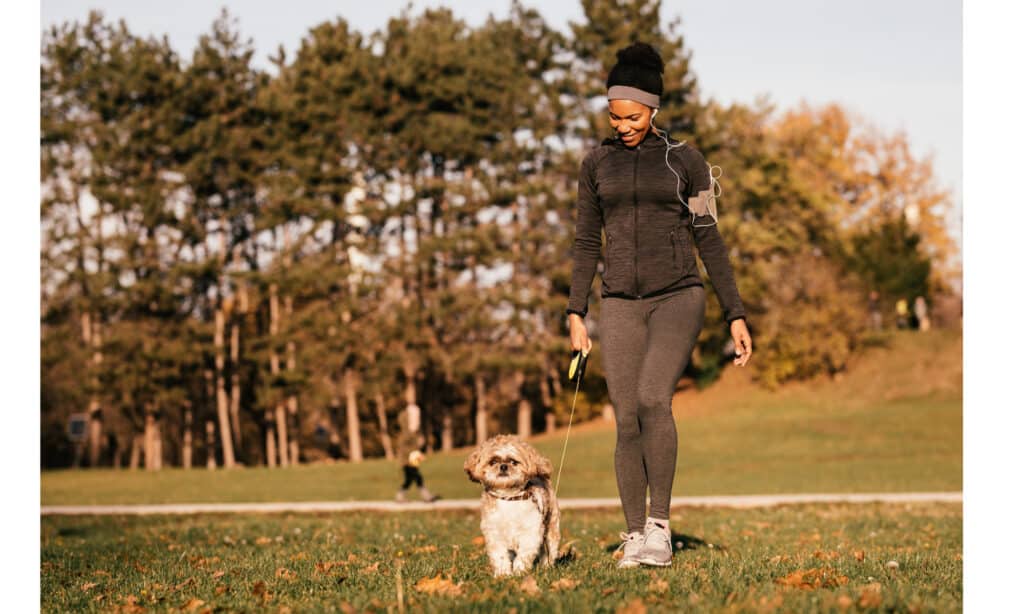 Donna che cammina piccolo cane al guinzaglio attraverso un parco