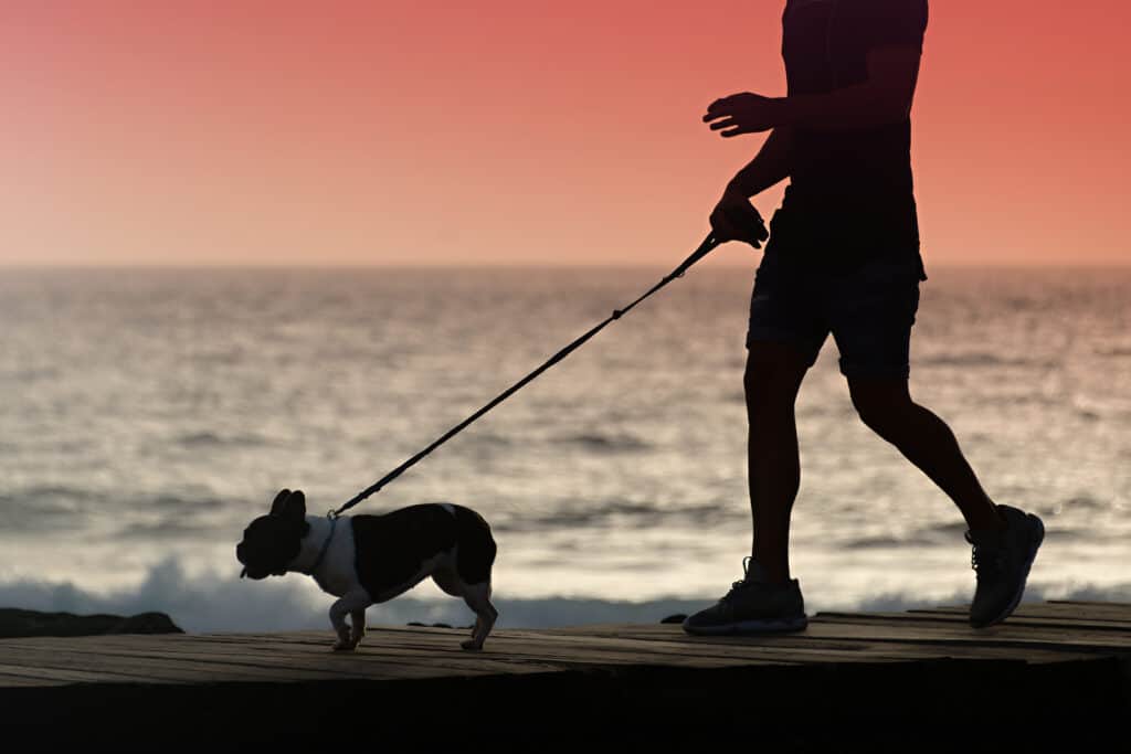 Uomo che cammina cane sulla spiaggia al tramonto