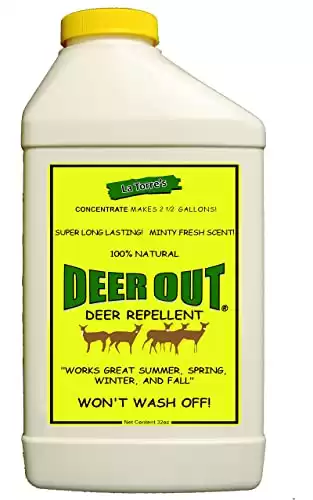 Deer Out 32oz concentrato repellente per cervi