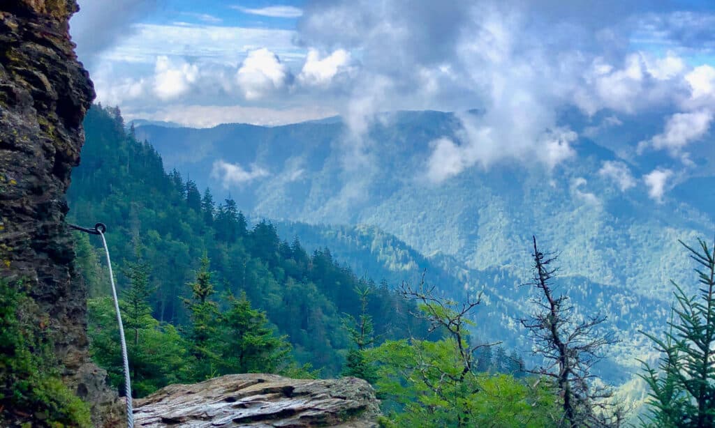Appalachian Trail nella Carolina del Nord: 10 fatti che non sapevi