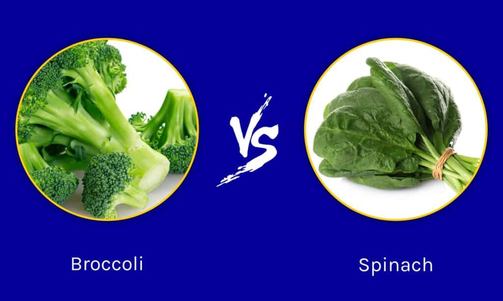 Broccoli vs Spinaci