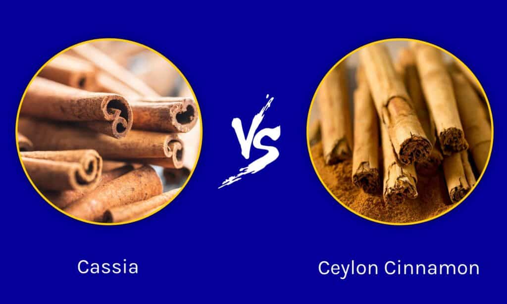 Cassia vs Ceylon Cannella