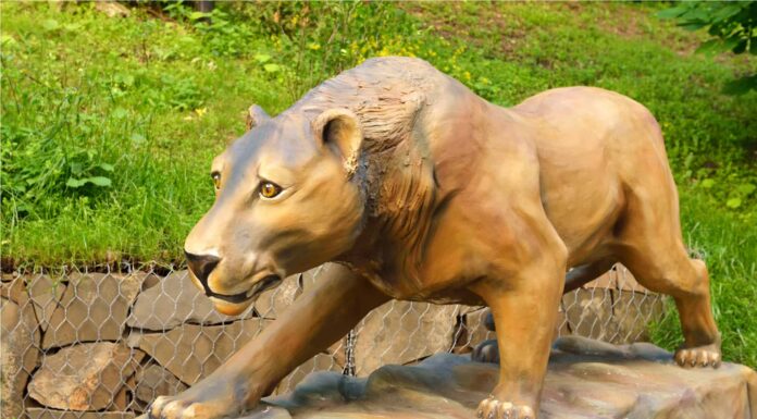 Cosa erano i leoni delle caverne, il predatore dell'era glaciale lungo 12 piedi?
