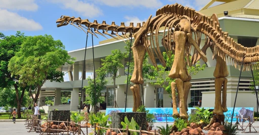 I dinosauri più grandi di sempre: Argentinosaurus huinculensis