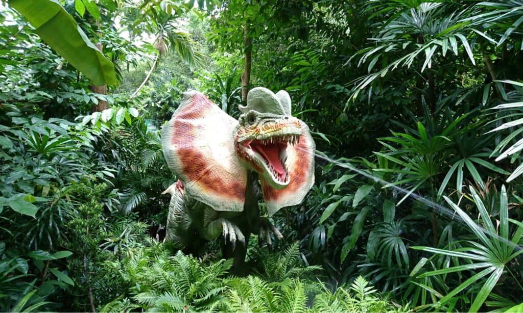 Dinosauri di Jurassic Park - Dilofosauro