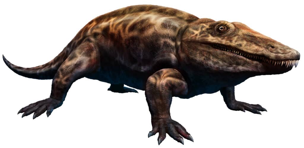 Eryops