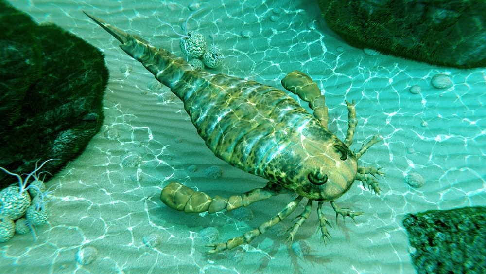 eurypterus scorpione di mare