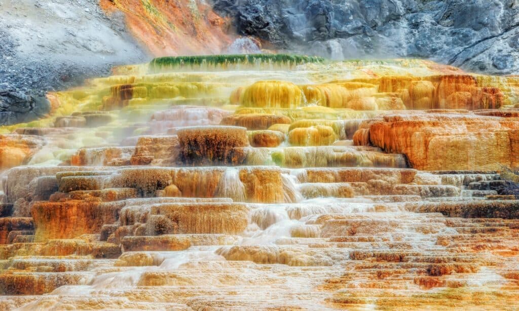 i migliori geyser di Yellowstone