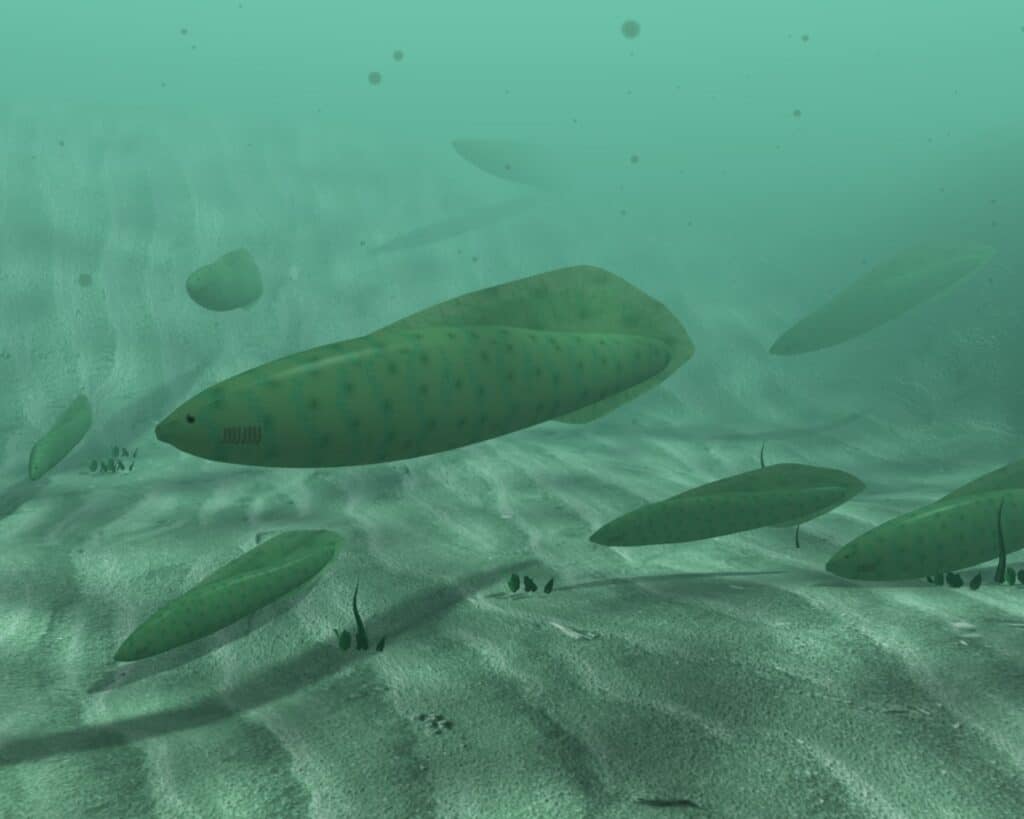 Illustrazione 3D di Haikouichthys