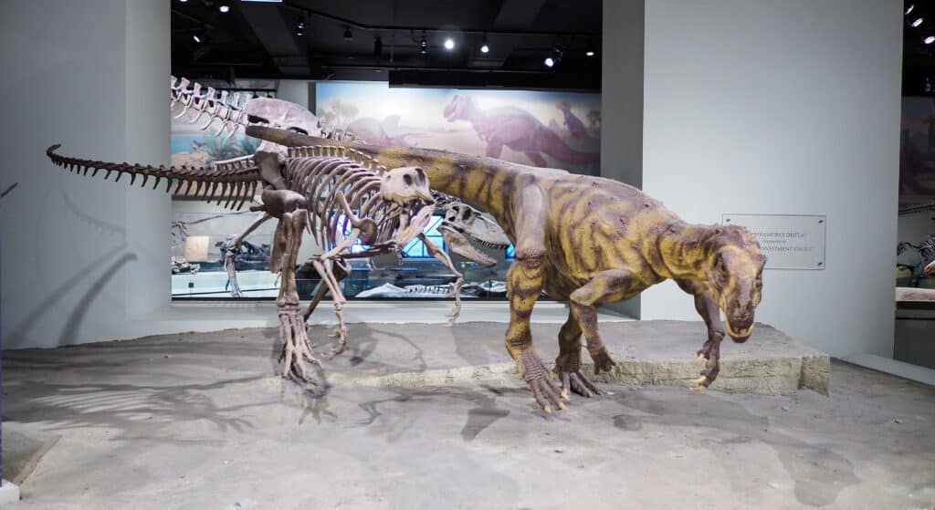 Uno scheletro di Herrerasaurus 3-D accanto a un Herrerasaurus 3-D.  un dinosauro preistorico.