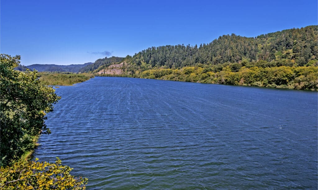 I fiumi della California settentrionale sono pericolosi perché sono freddi e imprevedibili.