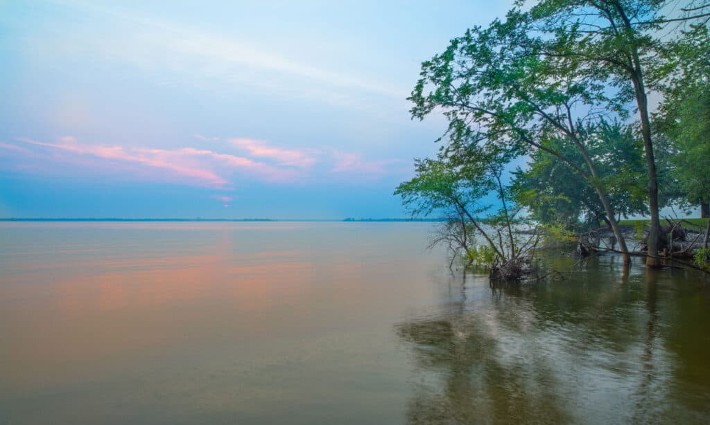 Strappare il lago Illinois