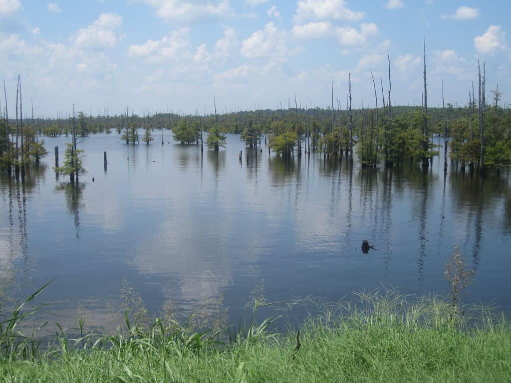 Lago Nero Louisiana