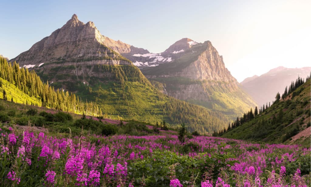 I migliori parchi nazionali da visitare a luglio: Glacier National Park