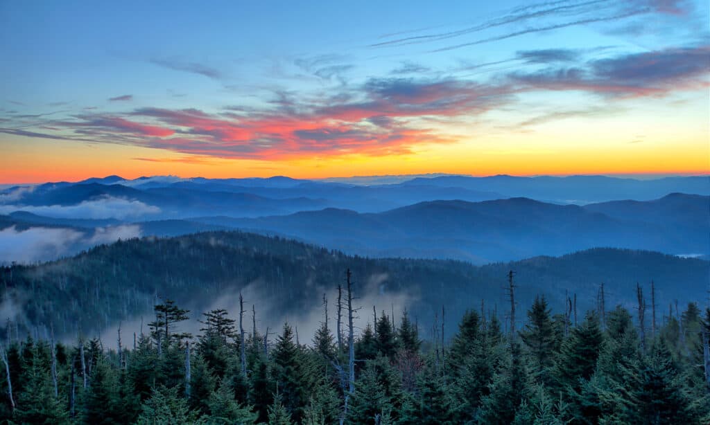 Appalachian Trail nella Carolina del Nord: 10 fatti che non sapevi