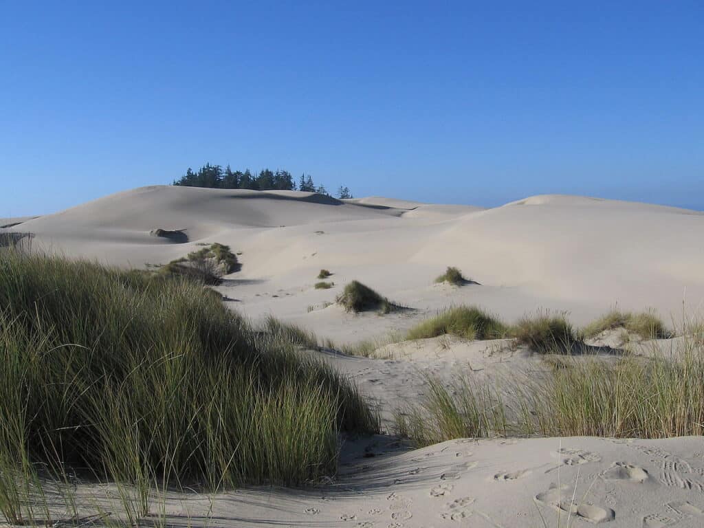 Centro ricreativo nazionale delle dune dell'Oregon