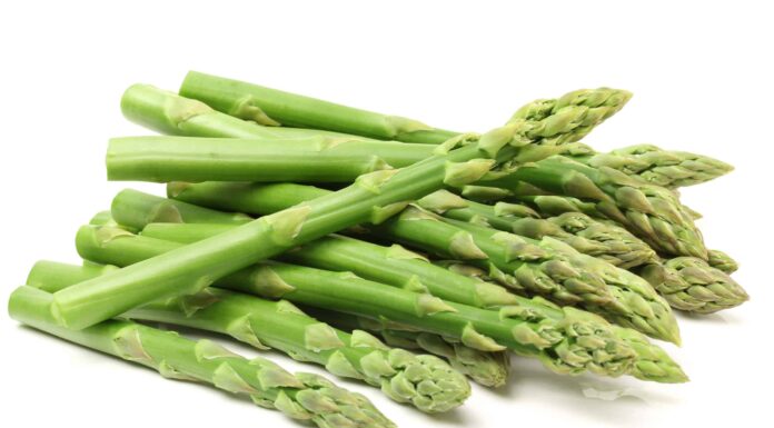  I cani possono mangiare gli asparagi?  Dipende
