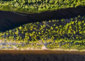 Il delta del fiume Mississippi sta morendo
