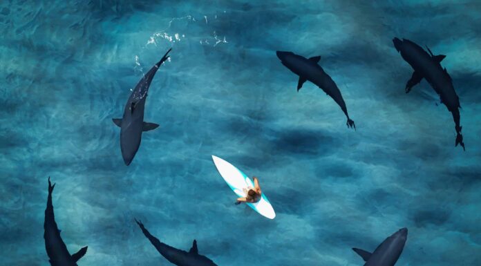 Il filmato del drone cattura Boogie Boarder in uno sciame di squali
