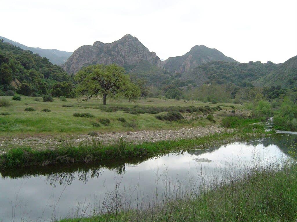   Malibu Creek