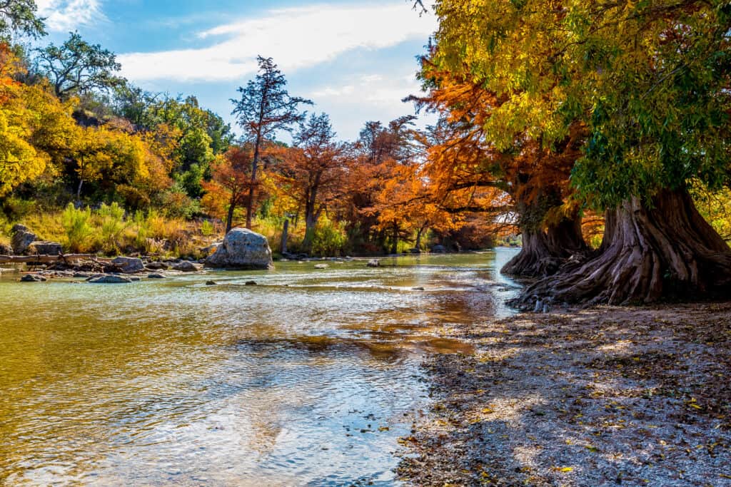 Parco statale Texas di Guadalupe