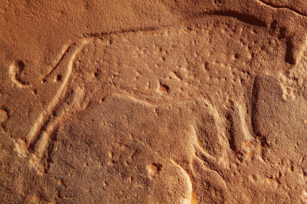 Pittura rupestre preistorica di animali
