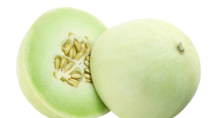 a halved honeydew on a white background