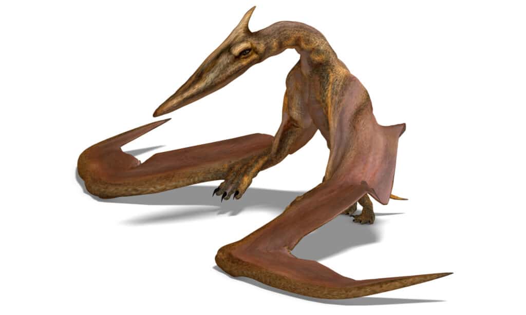 rendering del dinosauro volante Quetzalcoatlus
