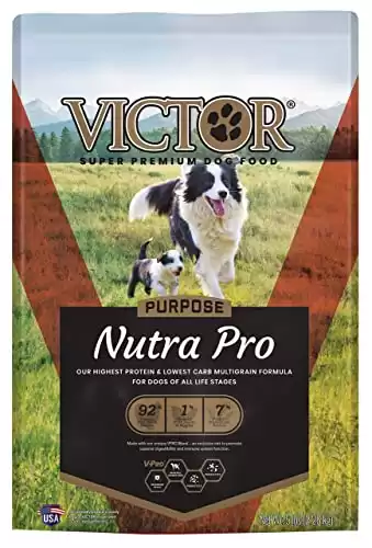 VICTOR Cibo per cani Super Premium