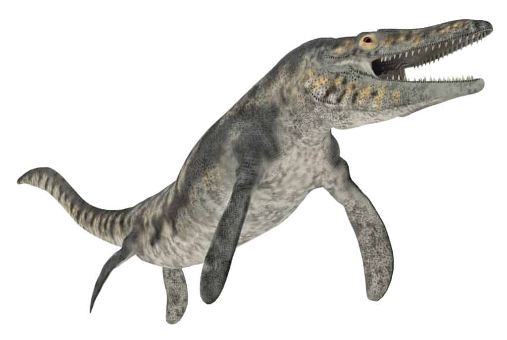 Illustrazione a colori 3D di un mosasauro preistorico