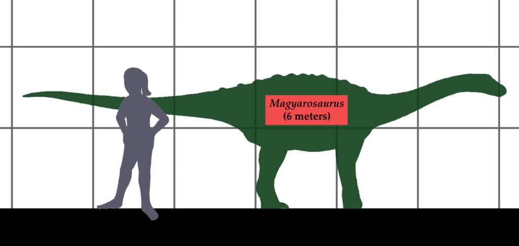 Magiarosauro