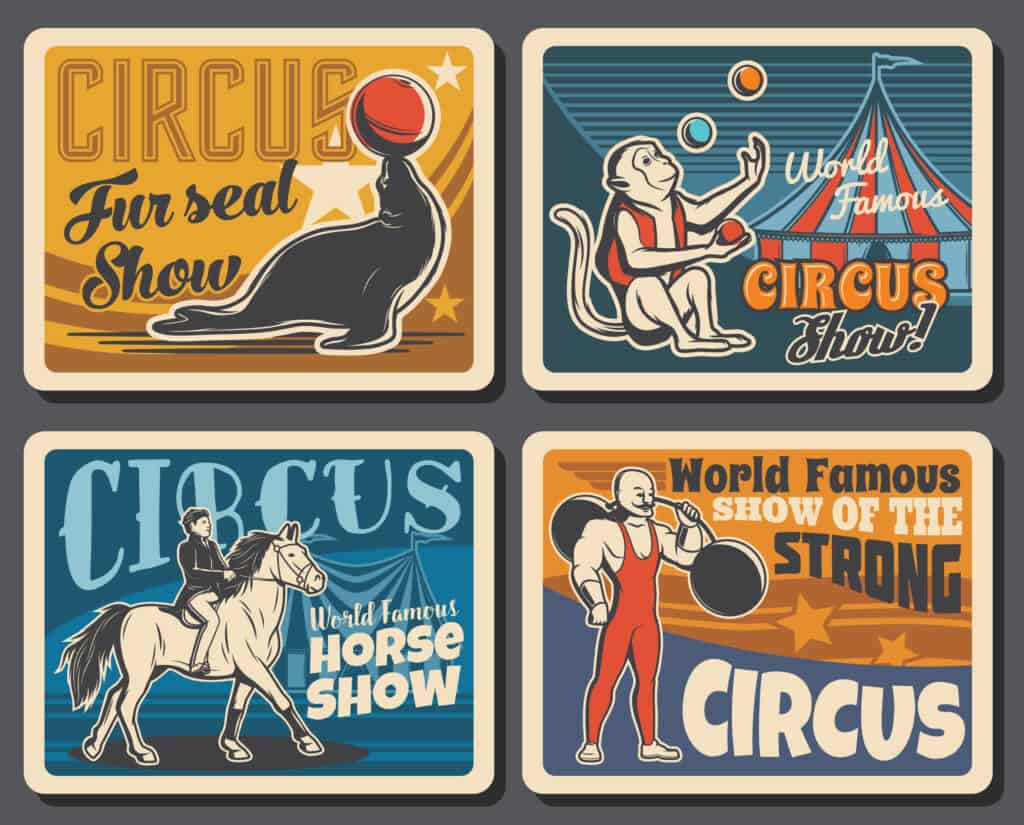 Animali da circo
