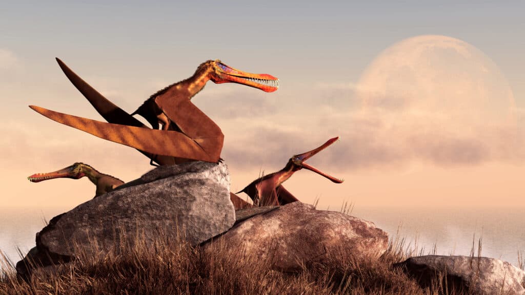 Ornithocheirus è un genere estinto di rettili volanti