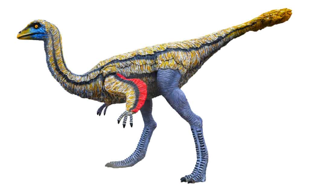 Ornithomimus è un genere di dinosauri ornitomimidi del tardo Cretaceo. 